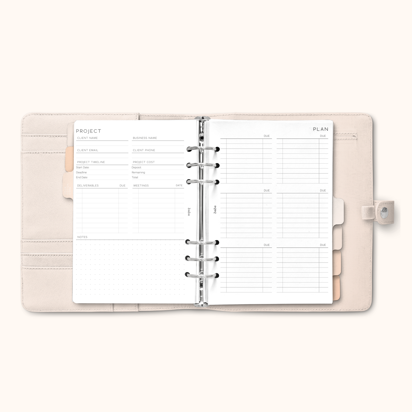 Client Project Plan Planner Insert