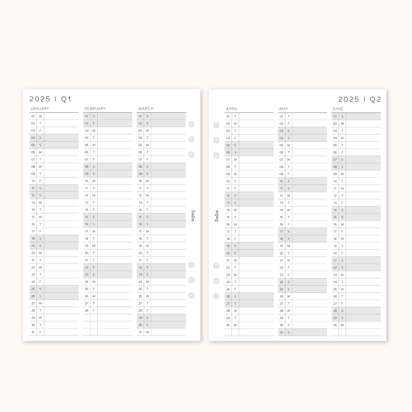 Printed 2025 Year Overview & Quarterly Planner